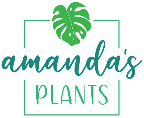 Amanda's Plants